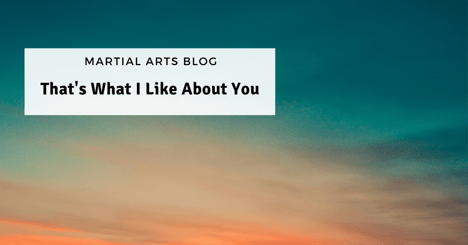 That's What I Like About You - Martial Arts Instructor Tips