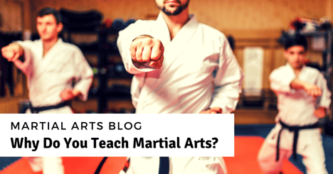 Why Do You Teach Martial Arts?